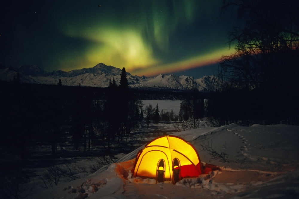 Tent Camping Winter Northern Lights Mile 135 Parks Hwy Ak Mt Mckinley Interior Snowshoes Canvas Art - Calvin Hall Design Pics (34 x 22)