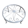 thumbnail image 1 of Tepsmf Single-Tier Wrought Iron Plant Stand, Floor Standing Potted Plant Shelf Home Decor Flower Pot Rack for Indoor Outdoor Garden, 1 of 6