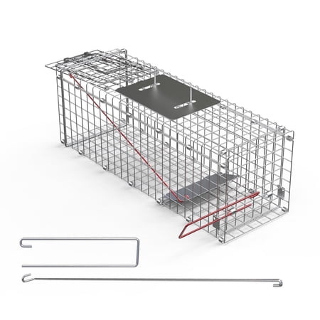 TeqHome 24" Humane Live Animal Trap Cage Catch and Release Heavy Duty Squirrel Trap Folding Raccoon Trap with Safe Carrying Handle for Squirrel Rabbits Raccoons Cats