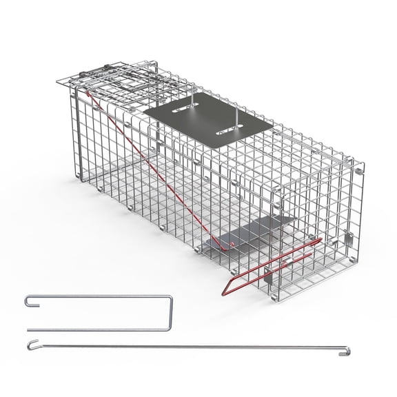 TeqHome 24" Humane Live Animal Trap Cage Catch and Release Heavy Duty Squirrel Trap Folding Raccoon Trap with Safe Carrying Handle for Squirrel Rabbits Raccoons Cats