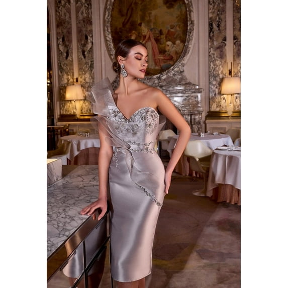 Terani Couture 242c3039 Taupe Rose Pink One-shoulder Cocktail Dress 24