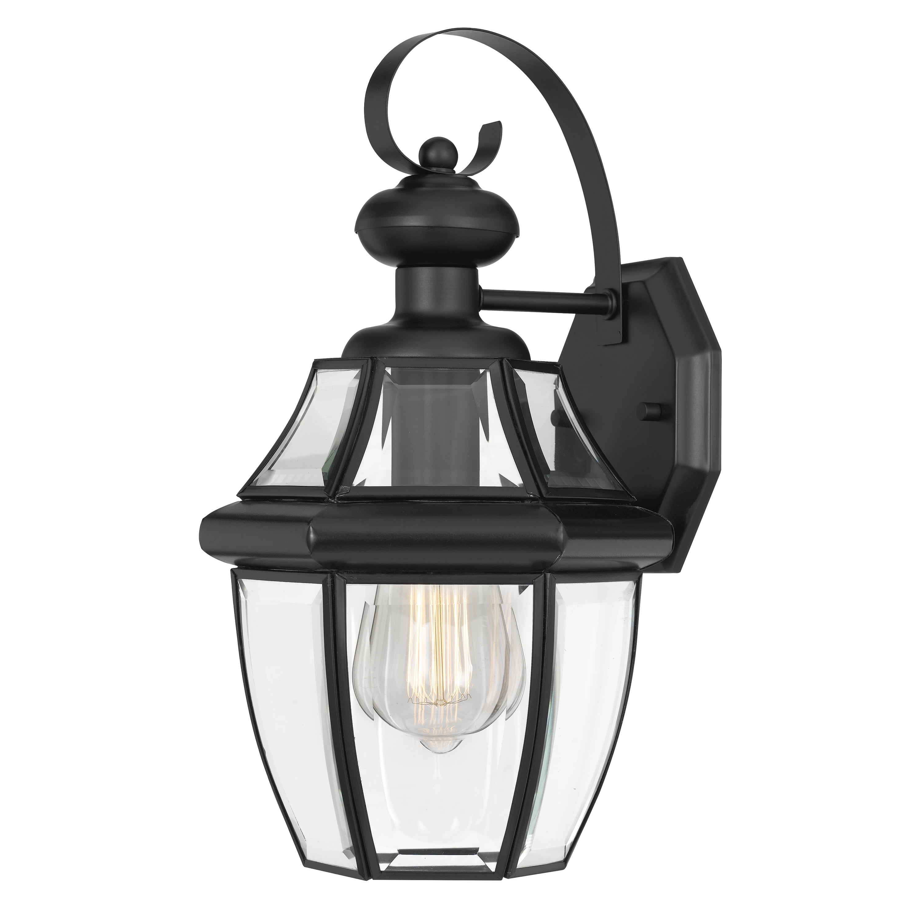 Matte Black Textured Glass 4-Light Outdoor Pendant Chandelier