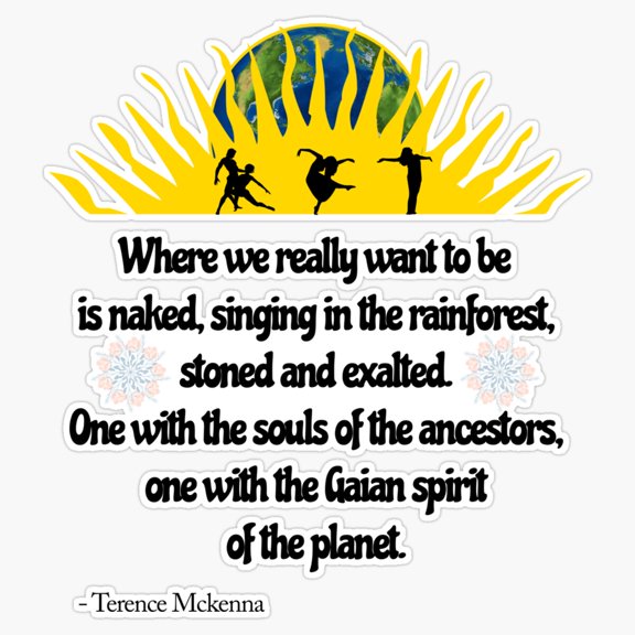 Terence Mckenna Psychedelic Philosopher Quote Vinyl Sticker