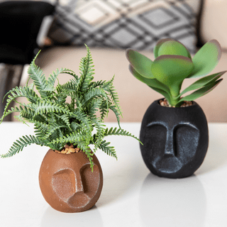 https://i5.walmartimages.com/seo/Teresa-s-Collections-6-6-7-Modern-Artificial-Succulents-Plants-Home-Decor-Boho-Potted-Black-Orange-Face-Ceramic-Pot-Shelf-Desk-Office-Indoor-Set-2_9a2a5904-8d8b-4726-a0d8-b4d9460bd0a5.d0b50b42469e2ef1f43230004d2b2f8b.png?odnHeight=320&odnWidth=320&odnBg=FFFFFF