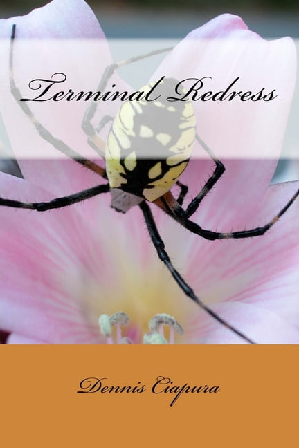 Terminal Redress (Paperback)