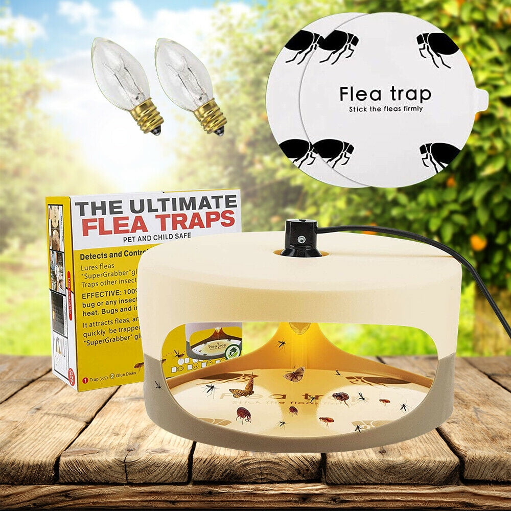 Flea Trap,Sticky Dome Bed Bug Trap,Indoor Pest Control Trapper Insect  Killer with 2 Glue Discs and Light Bulbs for Bugs Fleas,Flea Infestion  Natural