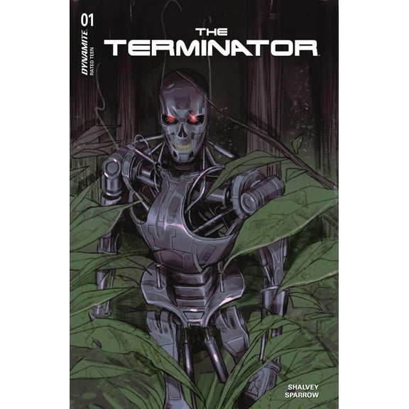 Terminator #1 Cvr C Sway Dynamite Comic Book