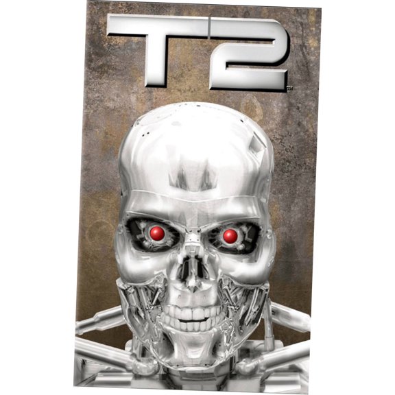 Terminator 2 Movie Poster Print T2 Art Poster 24x36 Multi-Color Square Adults Poster Time