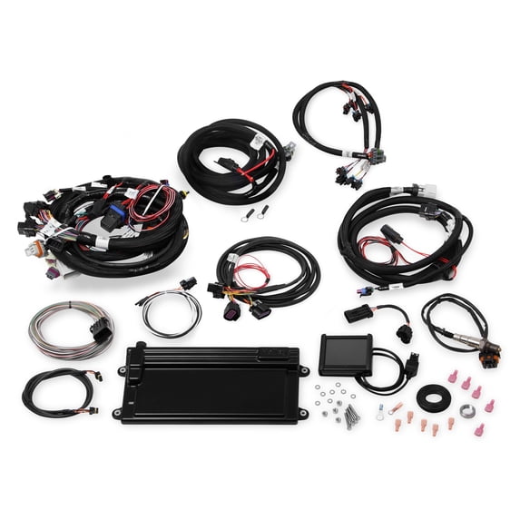 Holley EFI 550-623 Fuel Injection System