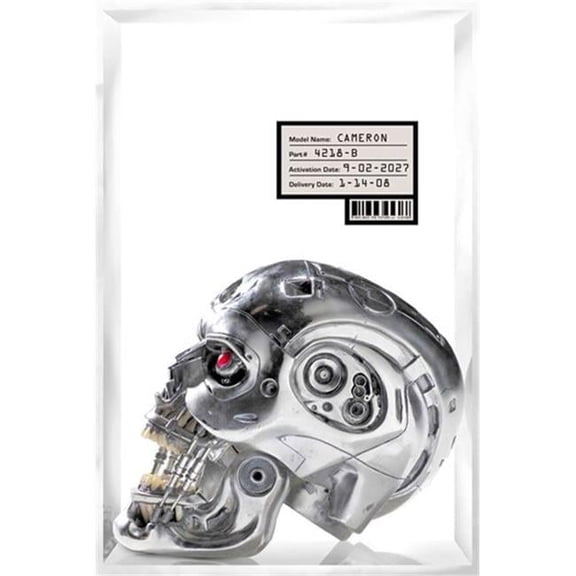 Terminator the Sarah Connor Chronicles - 11 x 17 in.