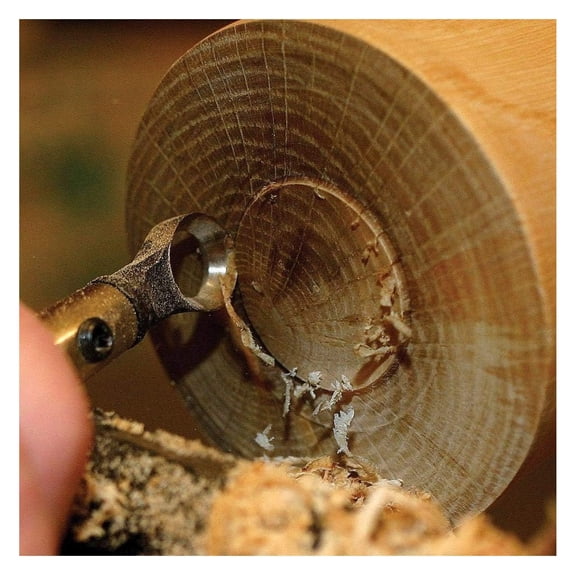 Termite Hollowing Tool Package