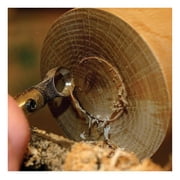 Termite Hollowing Tool Package
