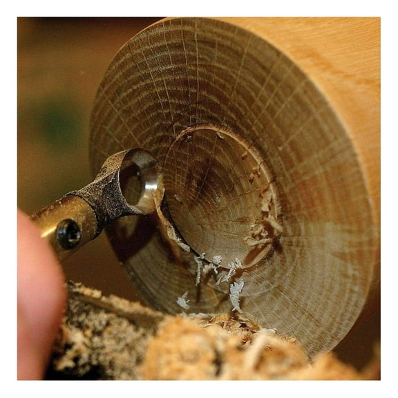 Termite Hollowing Tool Package