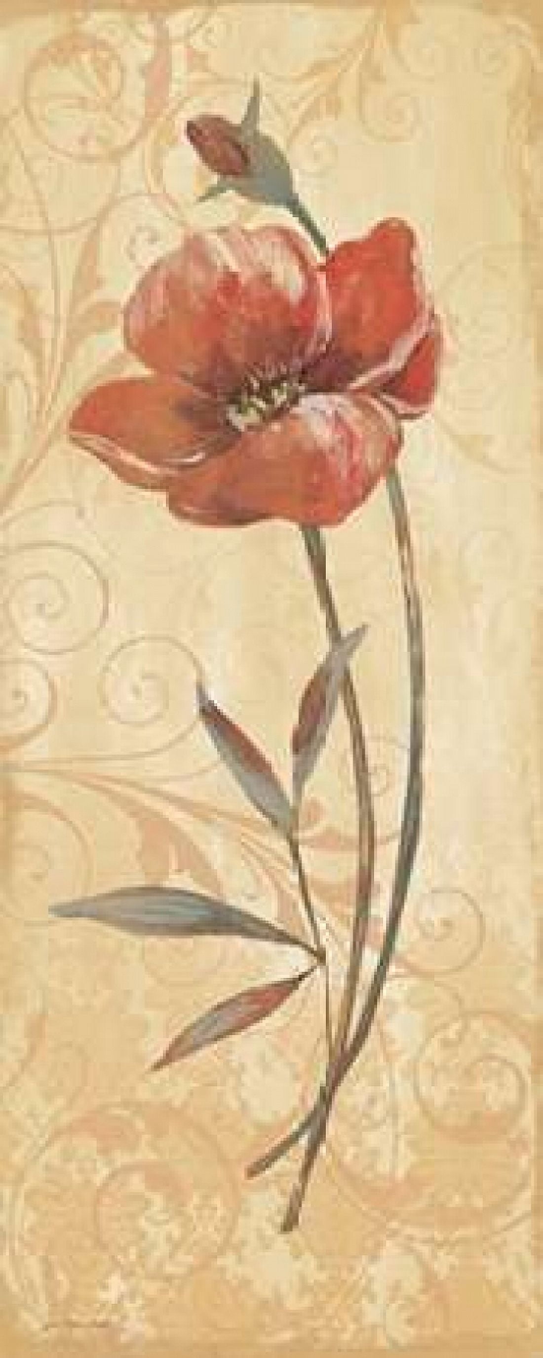 Terra Blooms II Canvas Art - Jo Moulton (24 x 48)