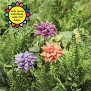 Happy Gardens Terra Cotta Flower Garden Stake, Handcrafted Assorted Color Floral Lawn and Planter Decoration with Metal Stem, 1 Count