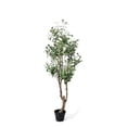 thumbnail image 1 of Terra Green Foliage AT8055-150-MO 60 in. Faux Olive Artificial Tree with 864 Leaves & 48 Fruits, 1 of 1