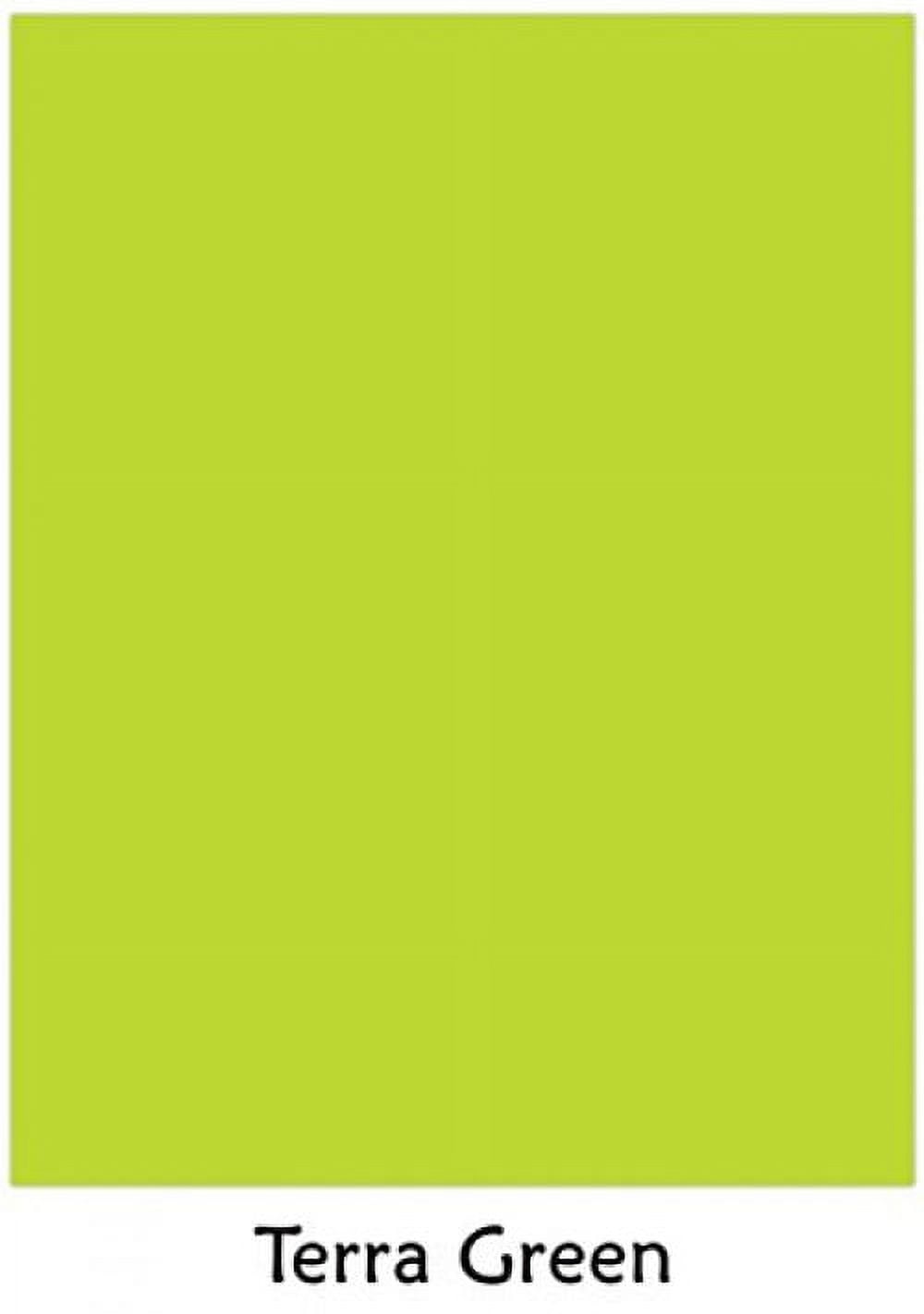 Martian Green - Neenah Astrobrights Premium Color Card Stock Size 8.5 x 11,  65 Lb - 50 Sheets