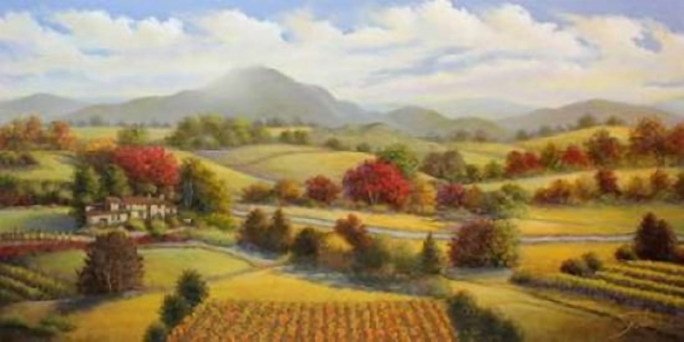 Terra-Line View Canvas Art - Sambataro (10 x 20)