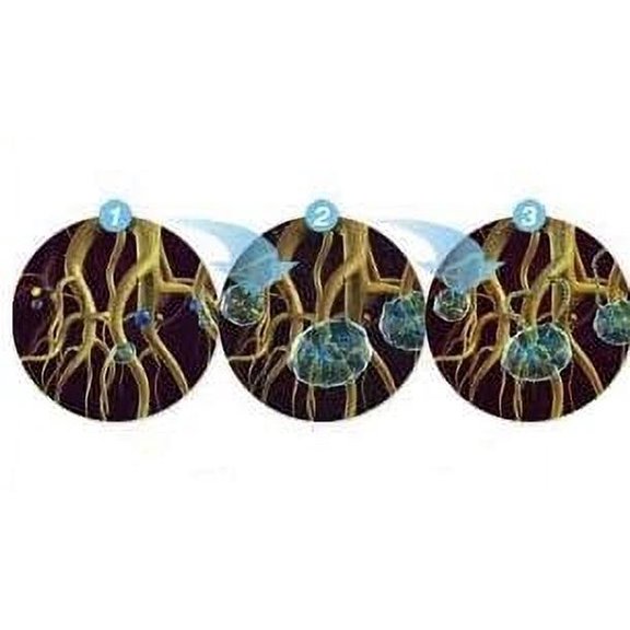 TerraLoch Cellulose-Based Hydrogel | Natural Water Storing Crystals for Soil | Helps Water-Loving Plants Thrive | Effective in High Heat | Reduces Transplant Shock | Mitigates Over