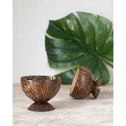 TerraMavi Handcrafted Coconut Bowl with Stand: Pure Coconut, Modern Design. Ideal for Smoothies, Cocktails & Breakfast. Crafted by Bali Artisans. Dimensions: 9-15cm Width x 7-8.5cm Height.