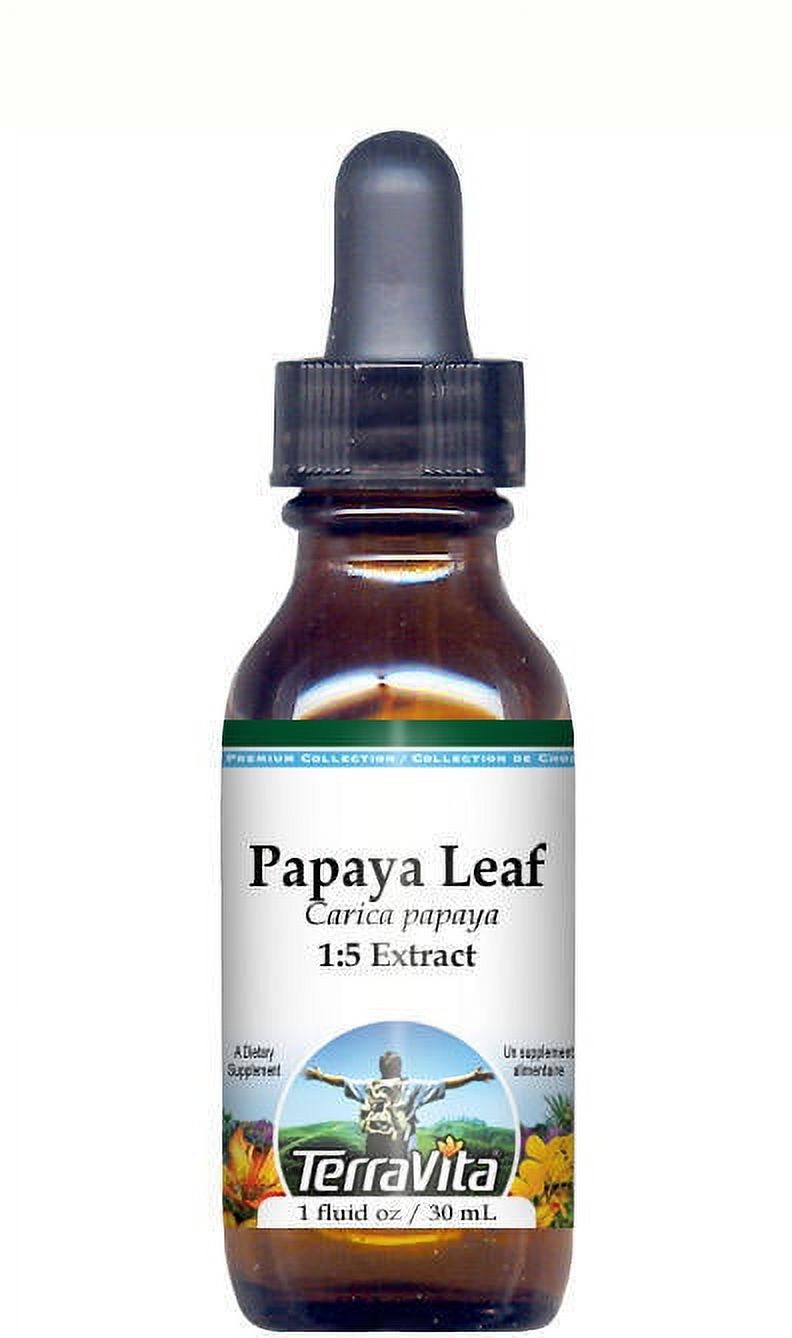 TerraVita Papaya Leaf Glycerite Liquid Extract (15) No Flavor, (1 oz