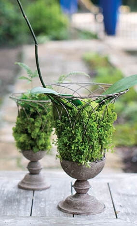 Terrace French Wire Garden Urn 10 inch x 14 inch