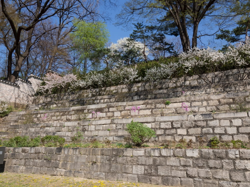 Terraced garden at Changdeokgung Palace Seoul South Korea Canvas Art - Panoramic Images (18 x 24)
