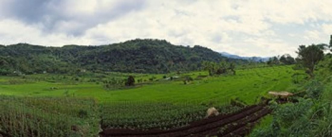 Terraced rice field Flores Island Indonesia Canvas Art - Panoramic Images (15 x 6)