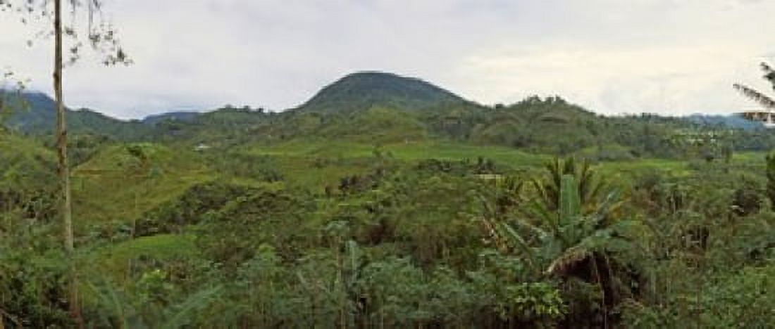 Terraced rice field Flores Island Indonesia Canvas Art - Panoramic Images (15 x 6)