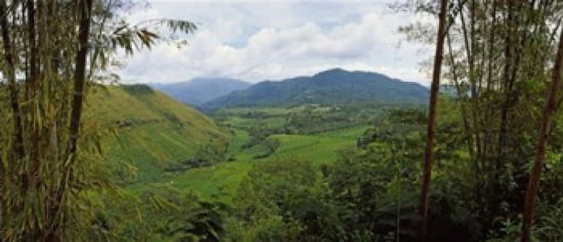 Terraced rice field Flores Island Indonesia Canvas Art - Panoramic Images (15 x 6)