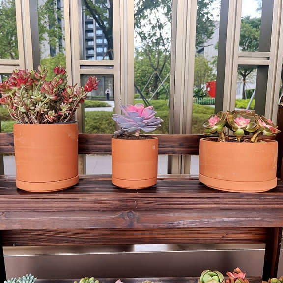 Terracotta Cylinder Pots for Plants, 3.7 Inch 4.7 Inch 5.9 Inch, Succulent Planter Pot with Drainage and Saucer.
