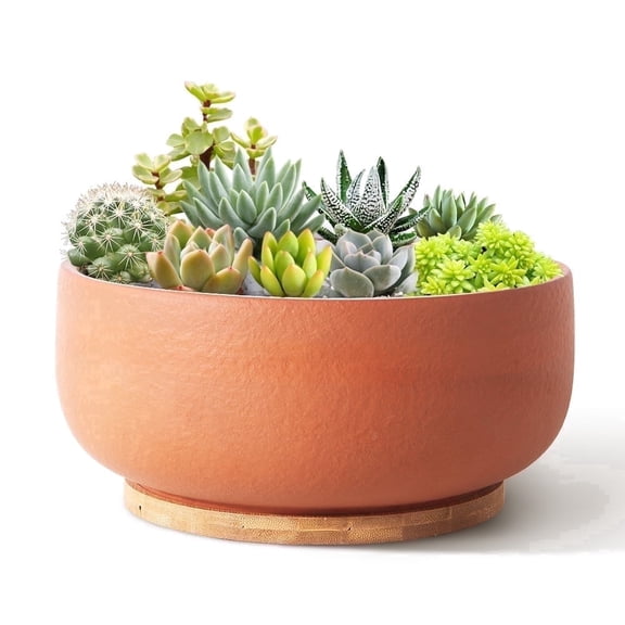 Terracotta Pot 8 inch Shallow Round Succulent Planter Bowl with Drainage & Bamboo Tray Flower Pots for Indoor Plants Cacti Bonsai Red