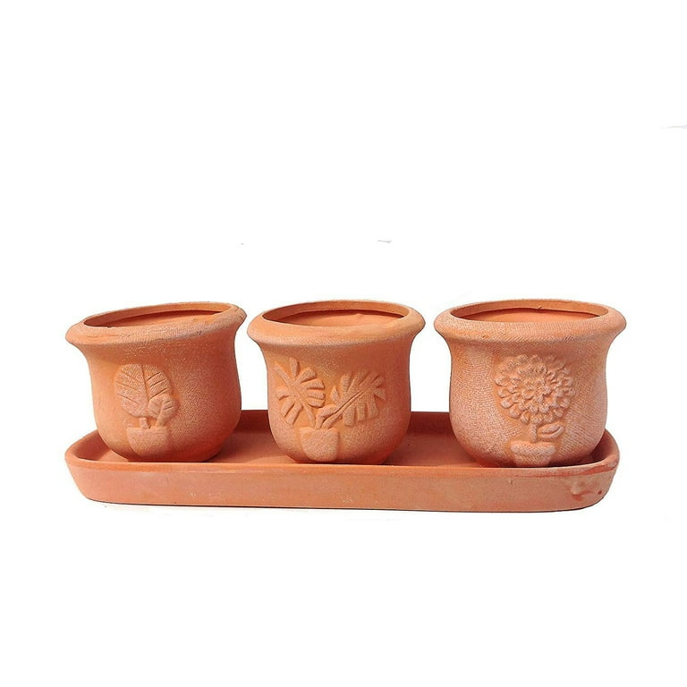 Terracotta Set of 3 Small Embossed Earthenware Planters or Herb Pots and Tray, Round shape Terracotta Set of 3 Small Embossed Earthenware Planters or Herb Pots and Tray, Round shape