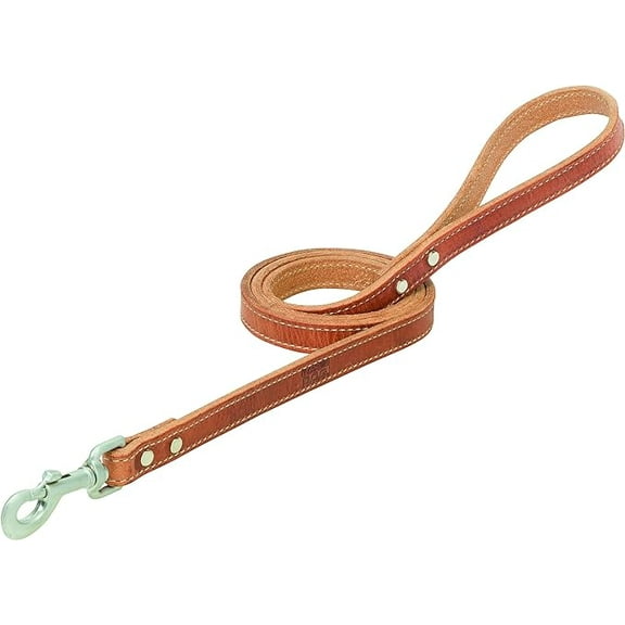 Terrain D.O.G. Harness Leather Dog Leash, Russet, 3/4" x 6'