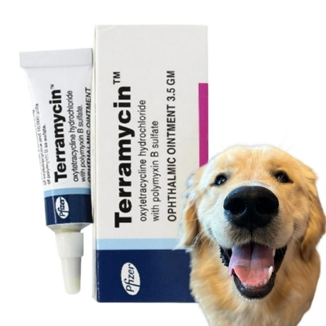 Terramycin Antibiotic Ointment for Eye Infection Treatment in Dogs