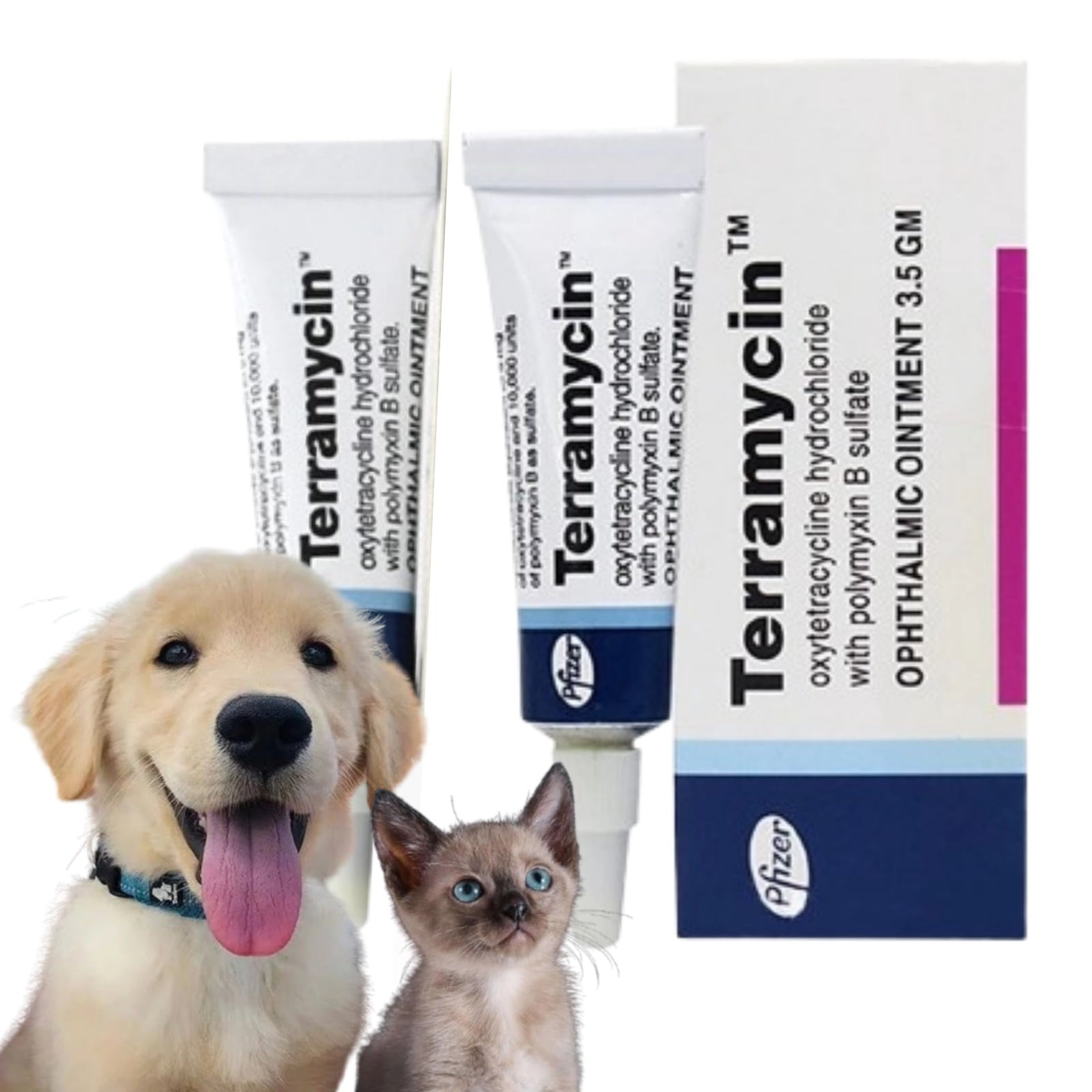 Golden eye ointment for cats sales