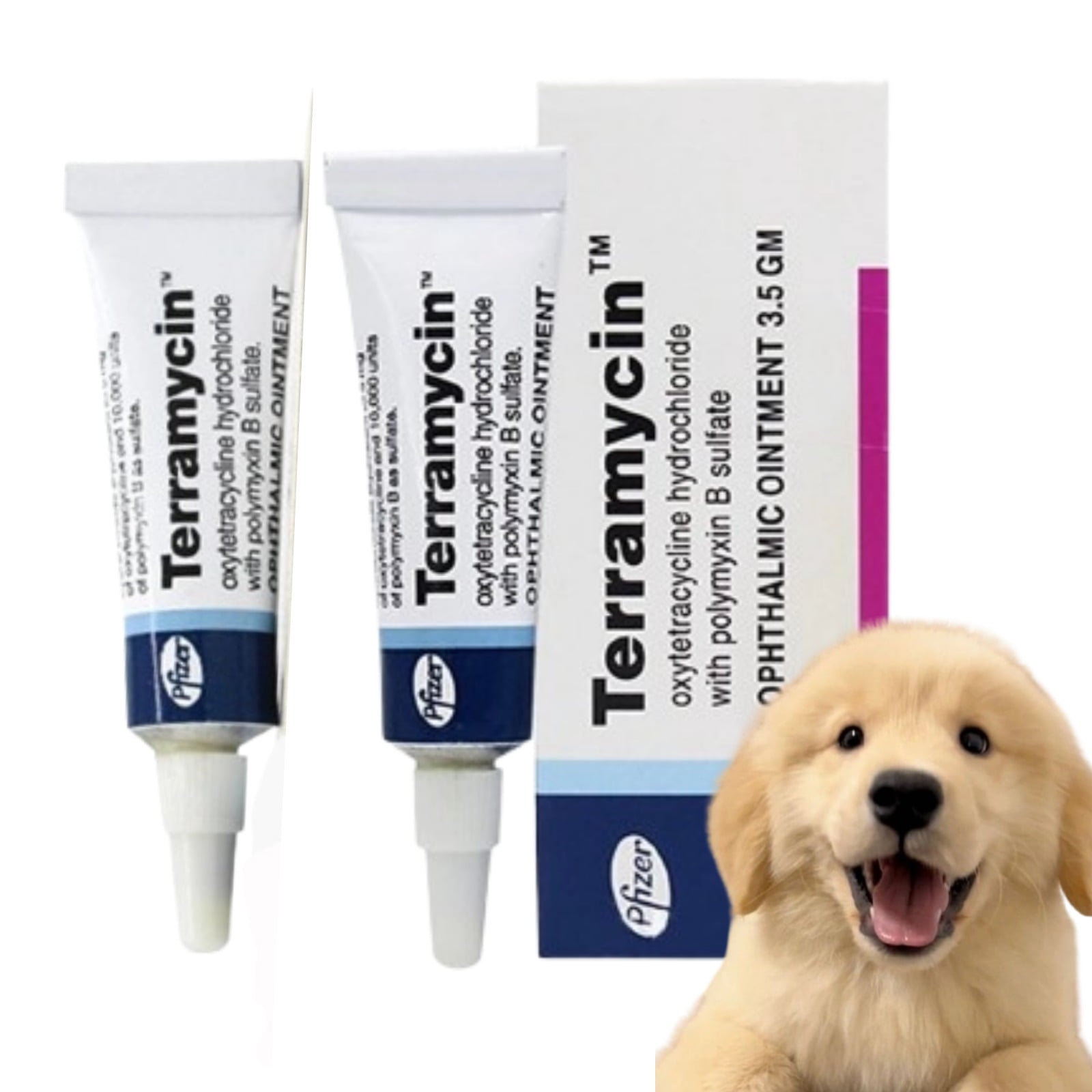 Terramycin Antibiotic Ointment for Eye Infection Treatment in Dogs