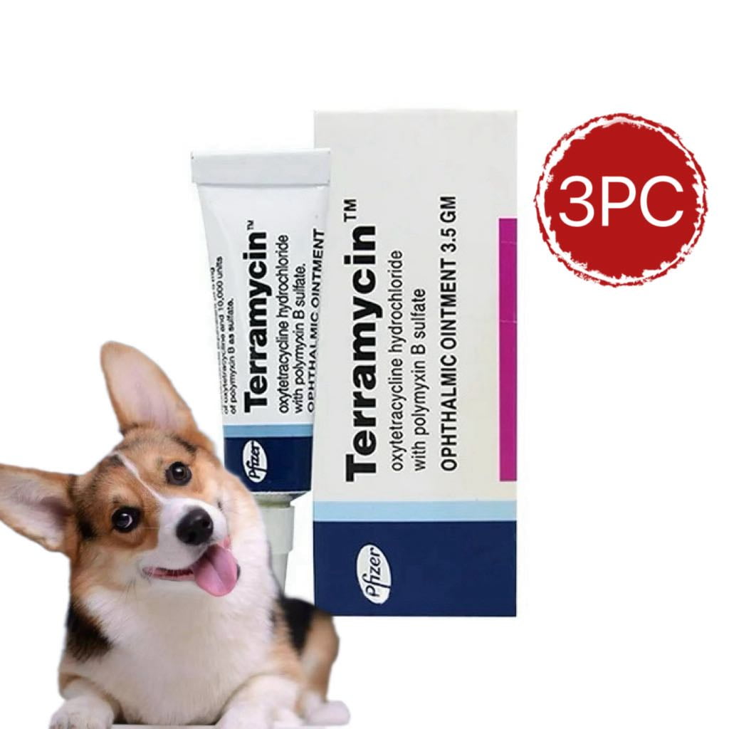Terramycin Antibiotic Ointment for Eye Infection Treatment in Dogs, Cats, Cattle, Horses, and