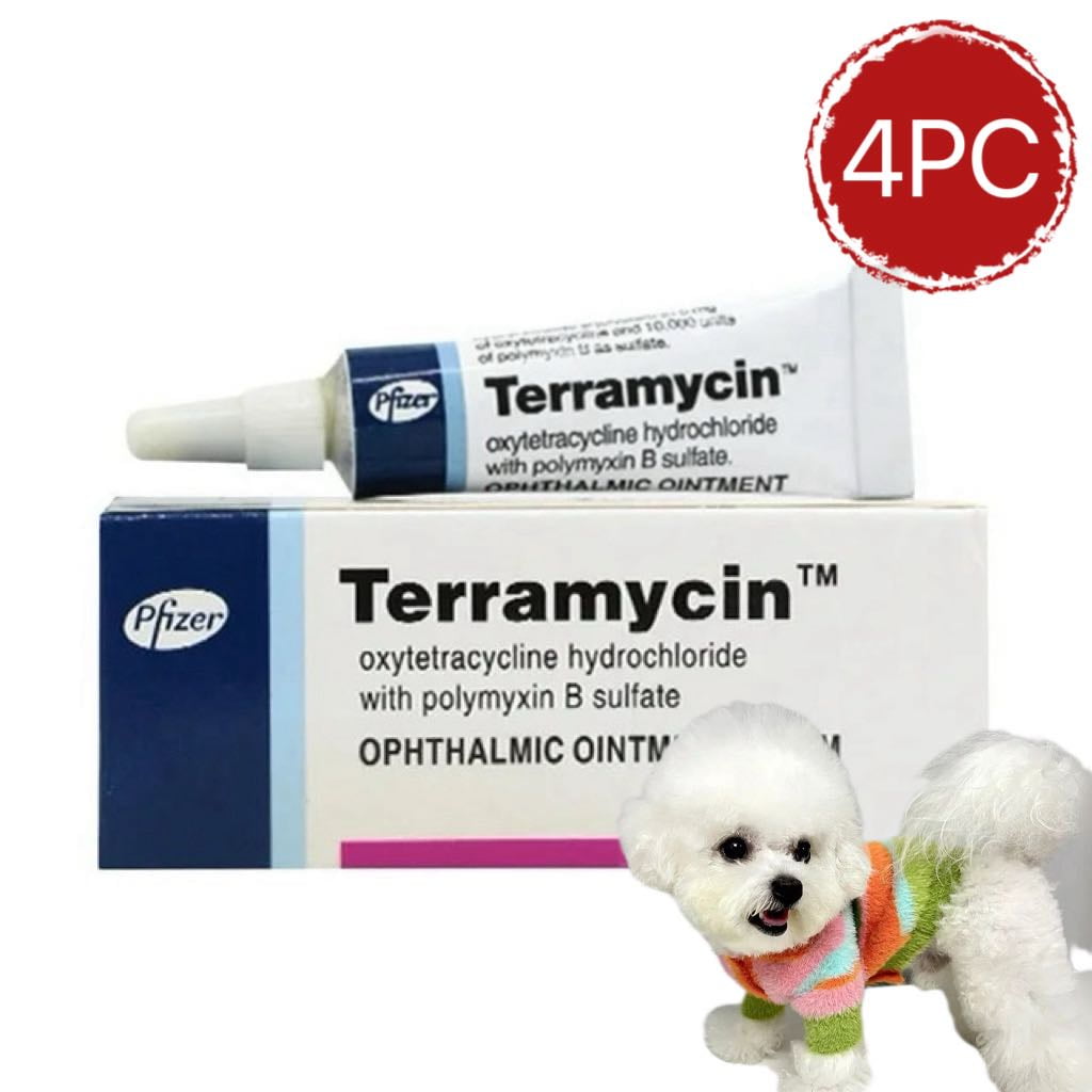 Terramycin Antibiotic Ointment for Eye Infection Treatment in Dogs