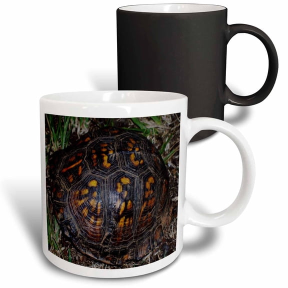 3drose, Terrapin Box Turtle Shell, 11oz Magic Transforming Mug