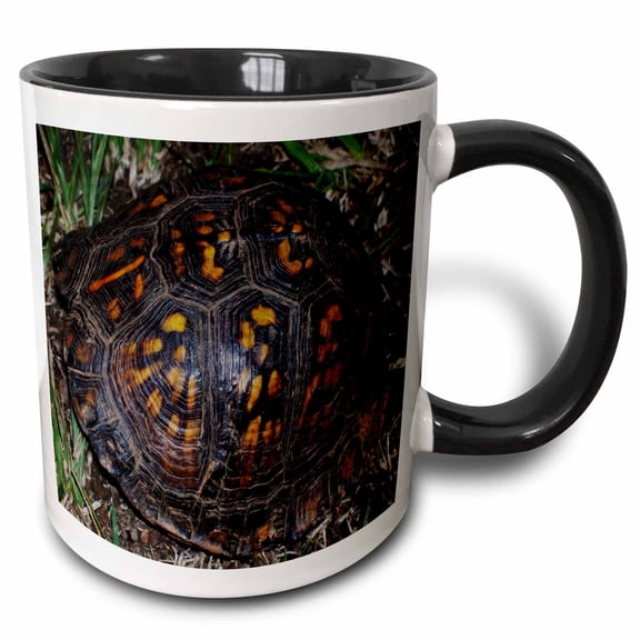 3drose, Terrapin Box Turtle Shell, 11oz Two-tone Black Mug