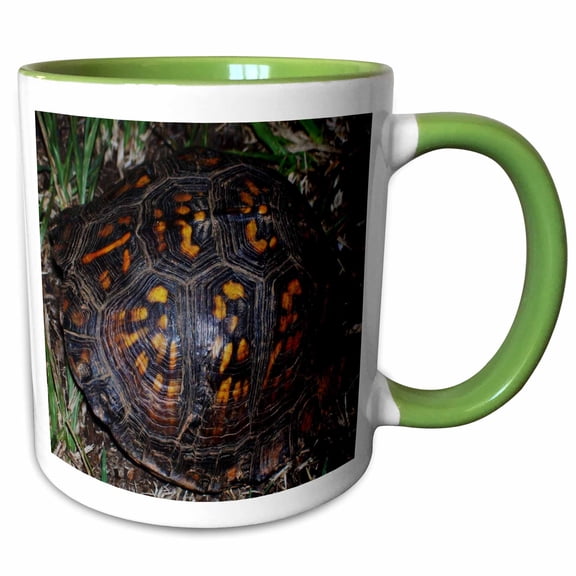 3drose, Terrapin Box Turtle Shell, 11oz Two-tone Green Mug