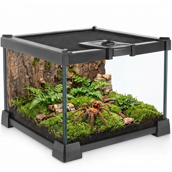 Terrarium 8"D X 8"W X 6"H Small Arthropod Pet Enclosure