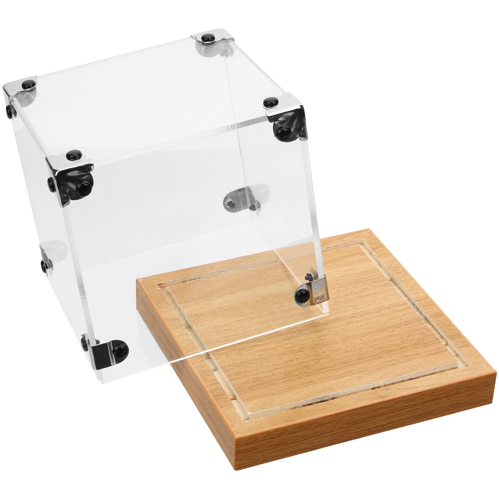 Terrarium Display Cases For Collectibles Action Figure Protective Case