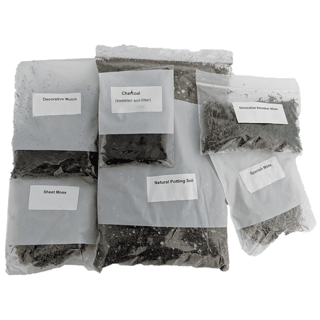 Terrarium/Fairy Garden Kit - Create Your Own Living Terrarium