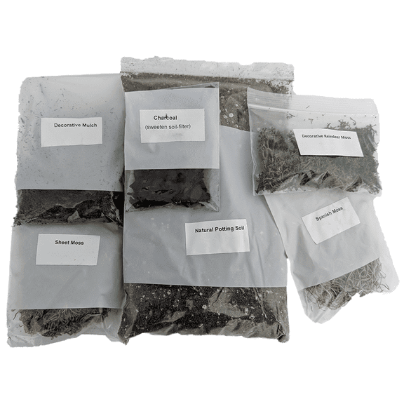 Terrarium/Fairy Garden Kit - Create Your Own Living Terrarium