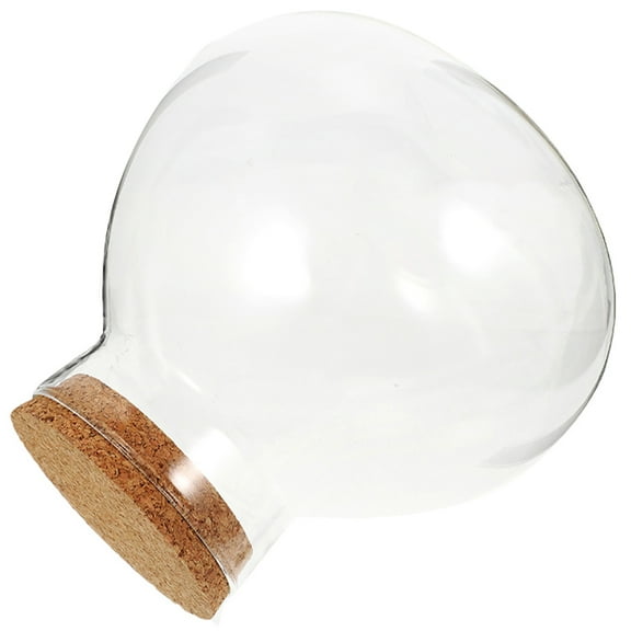 Terrarium Jar Jars Succulent Container Lightweight