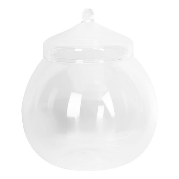 Glass Terrarium Bowl Vase, Transparent Bubble Glass Container for Plants, Landscape, Home Decor Ornament