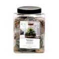 thumbnail image 1 of Better Homes & Gardens Terrarium Starter Kit for Indoor Plants, 1 of 5