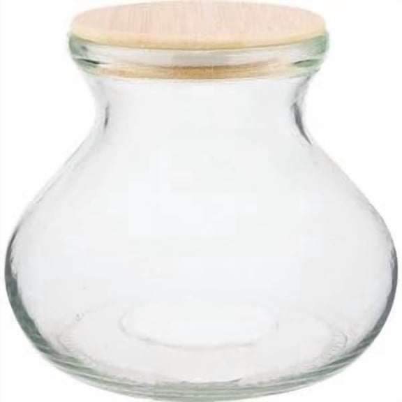 Terrarium - LED Light Vase Shape